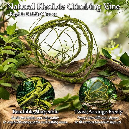 Reptile Plants 10 Pcs Terrarium Hanging Plant Vines Jungle Climbing Vines Tank Accessories Decorations with Suction Cups for Bearded Dragon Lizard Snake Geckos Chameleon in Kuwait
