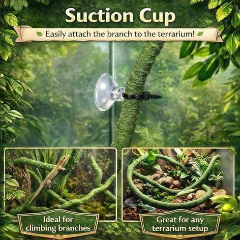 Reptile Plants 10 Pcs Terrarium Hanging Plant Vines Jungle Climbing Vines Tank Accessories Decorations with Suction Cups for Bearded Dragon Lizard Snake Geckos Chameleon in Kuwait