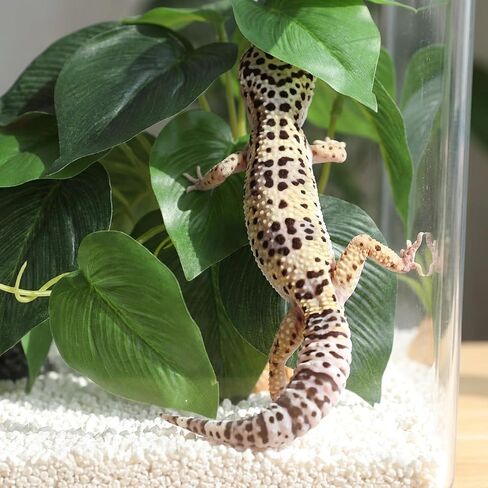نباتات تررم الزواحف الاصطناعية، نبات اصطناعي لنباتات الزواحف المزيفة لتررم لمنبات مرابي حيوانات مع ملحقات موائل كأس الشفط in Kuwait