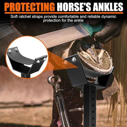 Adjustable Farrier Stand for Horses | Hoof Trimming, Shoeing & Veterinary Care | Heavy-Duty Metal Construction, Height-Adjustable, Interchangeable Cradle & Post Support in Kuwait
