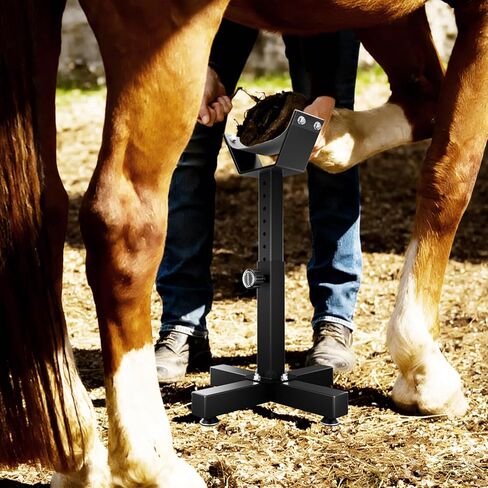 Adjustable Farrier Stand for Horses | Hoof Trimming, Shoeing & Veterinary Care | Heavy-Duty Metal Construction, Height-Adjustable, Interchangeable Cradle & Post Support in Kuwait