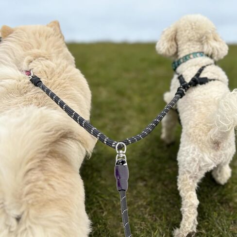 مزدوج مقود الكلب مقرنة مزدوجة نهاية نقطتين الكلب المقود التحكم عاكس DogLead الفاصل مقابض ناعمة مبطنة لا متشابكة حبل للتدريب على المشي in Kuwait