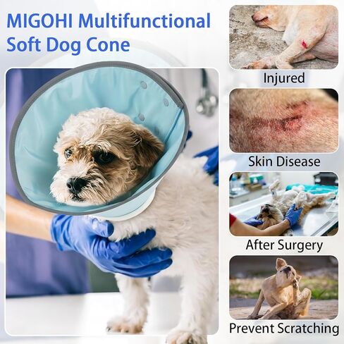 MIGOHI Soft Cat Cone Collar,Adjustable Cone for Cats After Surgery to Stop Licking,Reflective Elizabethan Recovery Collar for Kittens,Prevents Scratching for Wound,Spay & Neuter,M,Blue in Saudi Arabia
