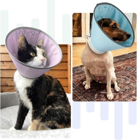 MIGOHI Soft Cat Cone Collar,Adjustable Cone for Cats After Surgery to Stop Licking,Reflective Elizabethan Recovery Collar for Kittens,Prevents Scratching for Wound,Spay & Neuter,M,Blue in Saudi Arabia