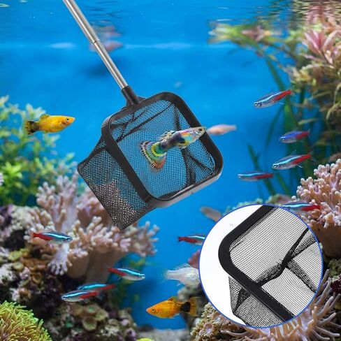 Aquarium Shrimp Net, 3 PCS Small Fish Nets for Fish Tank with Long Extendable Stainless Steel Handle, 3.15 Inch Round+Square Fine Mesh Net for Fishes Shrimp Tank Pond Creek Food Residue Debris in Kuwait