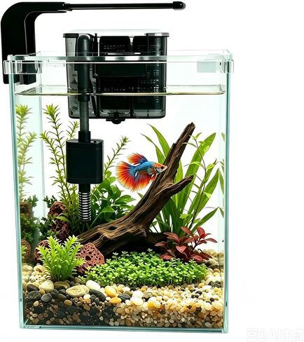 Vimvins 3 Gallon Glass Fish Tank with Filter and Light, Small Betta Aquariums Starter Kit. in Kuwait