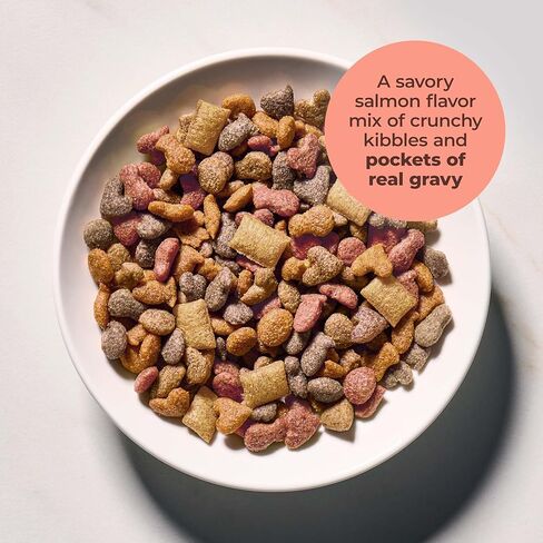 Meow Mix Gravy Bursts, Savory Salmon Flavor Kibble Mix, Gravy Filled Dry Cat Food, 3 lb. Bag in Kuwait