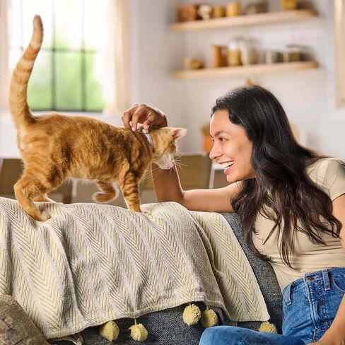 Meow Mix Gravy Bursts, Savory Salmon Flavor Kibble Mix, Gravy Filled Dry Cat Food, 3 lb. Bag in Kuwait