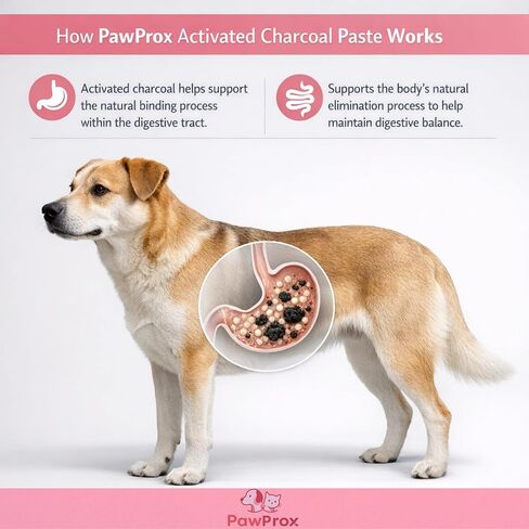 جل الفحم المنشط للكلاب من PawProx للتسمم، 30 سم مكعب من الفحم المنشط للإسعافات الأولية للكلاب، يستخدم للحيوانات فقط الكلاب والقطط للتسمم الإسعافات الأولية in Kuwait
