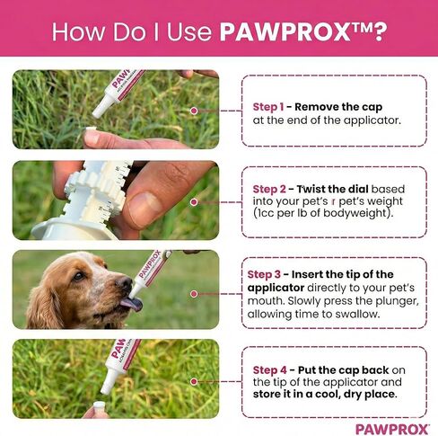 جل الفحم المنشط للكلاب من PawProx للتسمم، 30 سم مكعب من الفحم المنشط للإسعافات الأولية للكلاب، يستخدم للحيوانات فقط الكلاب والقطط للتسمم الإسعافات الأولية in Kuwait