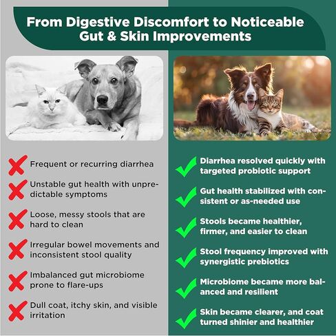 S.boulardii + FOS Pet Probiotic Powder للكلاب والقطط، 6.7 مليار CFU، دعم الأمعاء والمناعة، البراز السائب وتخفيف اضطرابات الجهاز الهضمي، يحسن تناسق البراز، صحة الجلد، موصى به من قبل الأطباء البيطريين in Kuwait