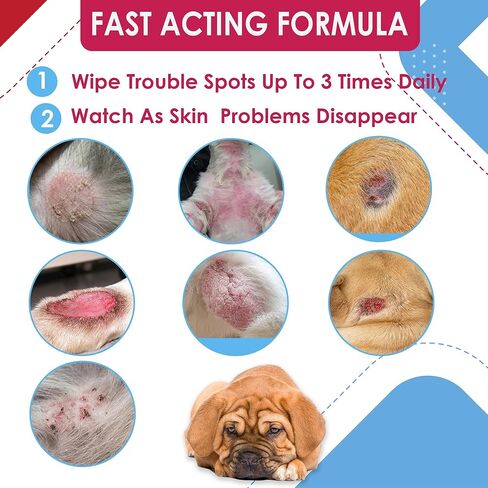 Topical Chlorhexidine Wipes for Dogs & Cats, Ketoconazole & Chlorhexidine Wipes and with a Light Scent (USA) (Ketoconazole & Chlorhexidin, 60 Count XL) in Kuwait