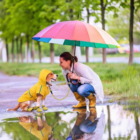 3 Pcs Dog Raincoat Shoes and Leash Set with Reflective Strip Yellow Adjustable Waterproof Rain Jacket Coat Poncho Hoodies for Small Medium Dogs Pets Walking in Kuwait
