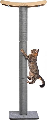 Heavy Duty Cat Window Perch with Scratching Post – Large Scratching Post with Perch, Strong Suction Cups, Eco, Multi-Level Cat Furniture for Indoor Cats (Grey) in Kuwait