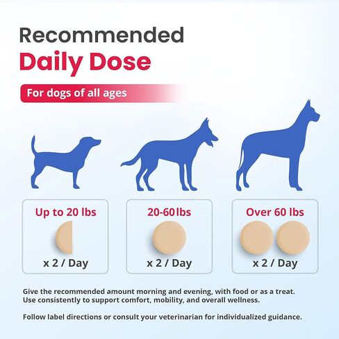 DogtorRx Age Defense، مكمل لدعم المفاصل والحركة لكبار السن، مفاصل وأربطة صحية، فيتامينات متعددة قابلة للمضغ للكلاب ومكمل لجميع السلالات والأحجام، صنع في الولايات المتحدة الأمريكية (60 قرصًا) in Kuwait