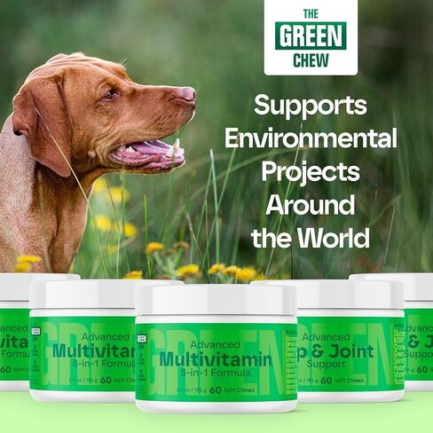 8-in-1 Advanced Multivitamin for Dogs - Omega-3, Joint & Bone Support, Skin & Coat Health - Dog Vitamins & Probiotics for Digestion - Dog Supplies Chicken Flavored 60 Soft Chews in Kuwait