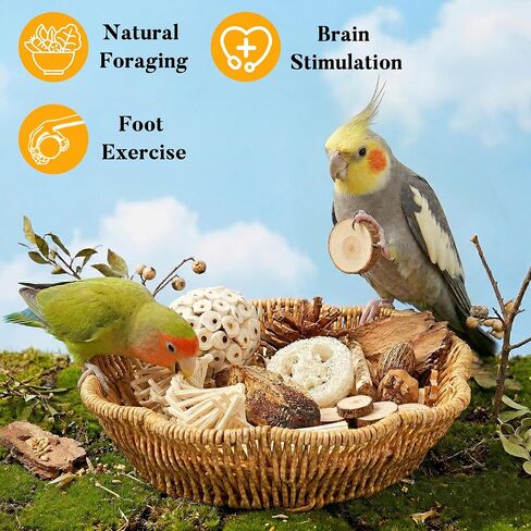 20Pcs Bird Foraging Toy Set with Hanging Basket, Natural Shredding & Chew Enrichment Toys for Parrots Cockatiels, Budgies, Parakeets, Cage or Floor Puzzle Foraging Toys for Mental Stimulation in Kuwait