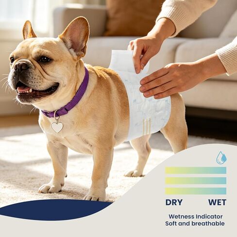 Disposable Dog Diapers Male M, Breathable Male Dog Wraps with Color Change Strip, Durable Belly Bands for Male Dogs Medium Breeds in Saudi Arabia