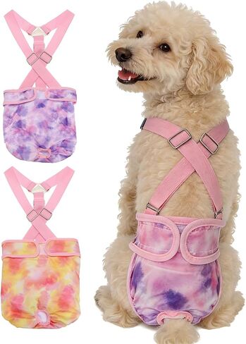 Washable Female Dog Diapers with Suspender, Reusable Dog Diapers Absorbent Leakproof(Striped Blue/Tie-Dye Light Blue XS, 2Pcs), Intended for Female in Heat Cycle in Saudi Arabia