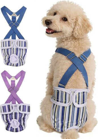 Washable Female Dog Diapers with Suspender, Reusable Dog Diapers Absorbent Leakproof(Striped Blue/Tie-Dye Light Blue XS, 2Pcs), Intended for Female in Heat Cycle in Saudi Arabia
