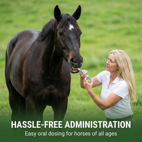 6-Pack Ivermectin Horse Paste 1.87% – Apple Flavored Oral Dewormer for Horses in Kuwait
