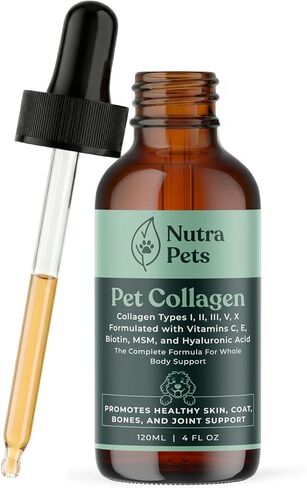 Premium Liquid Collagen for Dogs & Cats | 5 Types of Collagen (I, II, III, V, X) | Supports Skin, Coat, Hips, Joints, & Bones | Allergy and Itch Relief | Biotin, Hyaluronic Acid, Vitamin C in Kuwait