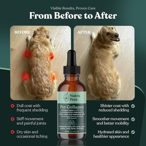 Premium Liquid Collagen for Dogs & Cats | 5 Types of Collagen (I, II, III, V, X) | Supports Skin, Coat, Hips, Joints, & Bones | Allergy and Itch Relief | Biotin, Hyaluronic Acid, Vitamin C in Kuwait
