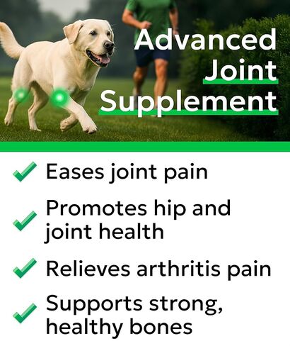 BARK&SPARK Glucosamine Treats for Dogs - Complete Hip and Joint Supplement for Dogs w/Glucosamine, Chondroitin, MSM - Mobility, Flexibility & Comfort Aid - All Breeds & Ages - 260Ct in Kuwait