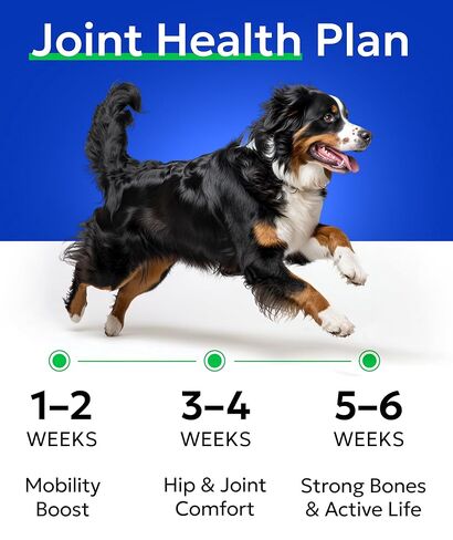 BARK&SPARK Glucosamine Treats for Dogs - Complete Hip and Joint Supplement for Dogs w/Glucosamine, Chondroitin, MSM - Mobility, Flexibility & Comfort Aid - All Breeds & Ages - 260Ct in Kuwait