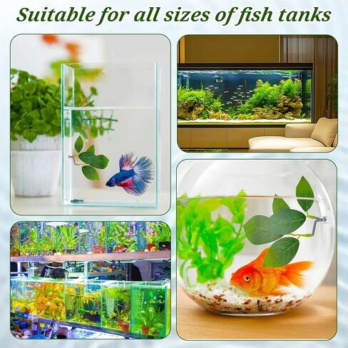 3 Pcs Betta Fish Leaf Pad, Betta Leaf Hammock Fish Tank Decorations Aquarium Decor Simulating The Natural Habitat for Sleeping Resting Hiding Playing Breeding with Plastic Suction Cup in Kuwait