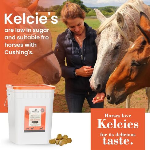 Kelcie’s Horse Care Essentials Bundle - Pumpkin Spice Horse Treats (15 lb) with Bucket + Hoof Pick Brush Grooming Tool | Healthy Treats & Easy Hoof Cleaning in Kuwait