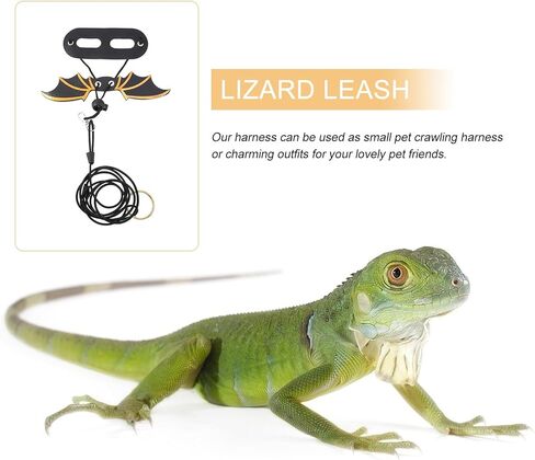 BESPORTBLE Lizard Wing Harness Leash 5pcs Set Adjustable Reptile Traction Rope for Small Pets Outdoor Walking Black in Kuwait