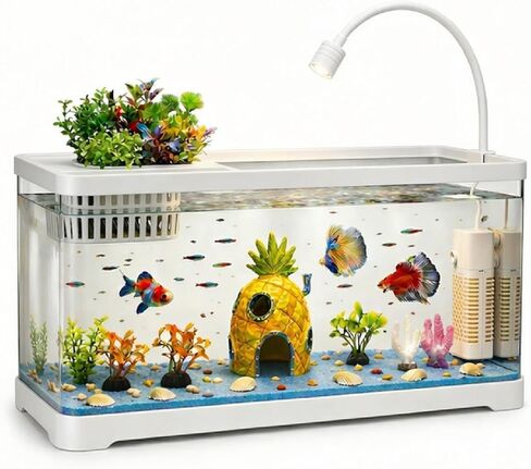 4 Gallon Fish Tank Aquarium Starter Kit with Filter and Light, All in One Small Fish Tank for Betta, Kids & Desktop Use, Self Cleaning Nano Aquarium with Lid(Medium Black) in Kuwait