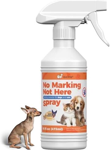 16oz Control Your Dog's Indoor Behavior with This Special Spray, Stop Your Dog Wrong Marking with This Solution, Keep Your Home Clean with Our Dog Training Spray in Kuwait