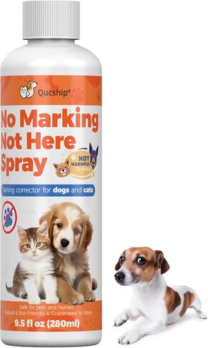 16oz Easy and Effective Dog Training Spray for Home Use – Stop Dog Urinating in House with No More Peeing in House – Safe Don't Pee Here Dogs Marking Wrong in Kuwait