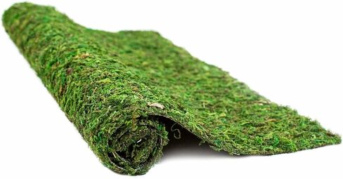 Galápagos (05094) CrashPad، بطانة Mossy Terrarium، طبيعية، 18 × 36 بوصة in Kuwait