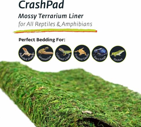 Galápagos (05094) CrashPad، بطانة Mossy Terrarium، طبيعية، 18 × 36 بوصة in Kuwait