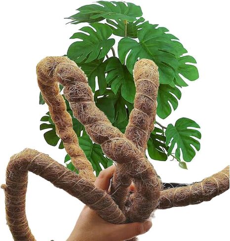 مجموعات كرمة الزواحف، كروم الزواحف الطبيعية القوية للتسلق، ديكور الغابة، نباتات الزواحف المزيفة لديكور تررم، فرع الغابة القابل للانحناء لسحلية ثعبان الحرباء أبو بريص (أخضر) in Kuwait