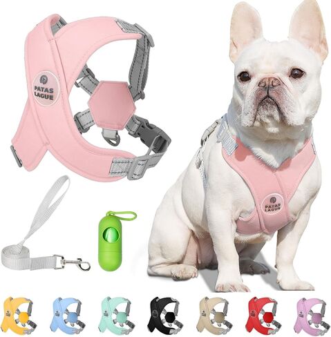 Patas Lague Dog Harness with Leash Set Adjustable Soft Padded Step-in Dog Vest No Choke No Pull Reflective for Small Medium Pets with Poop Bags and Dispenser, Solid and No-chew, Pink M in Saudi Arabia