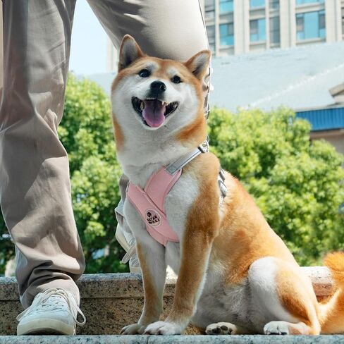 Patas Lague Dog Harness with Leash Set Adjustable Soft Padded Step-in Dog Vest No Choke No Pull Reflective for Small Medium Pets with Poop Bags and Dispenser, Solid and No-chew, Pink M in Saudi Arabia