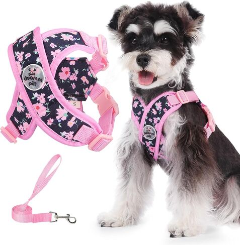 Patas Lague Dog Harness with Leash Set Adjustable Soft Padded Step-in Dog Vest No Choke No Pull Reflective for Small Medium Pets with Poop Bags and Dispenser, Solid and No-chew, Pink M in Saudi Arabia