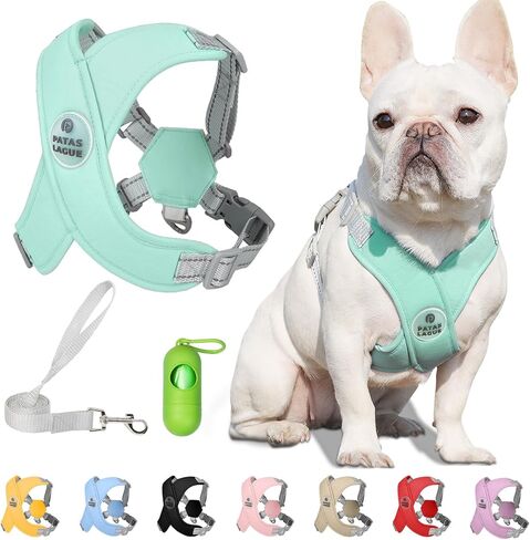 Patas Lague Dog Harness with Leash Set Adjustable Soft Padded Step-in Dog Vest No Choke No Pull Reflective for Small Medium Pets with Poop Bags and Dispenser, Solid and No-chew, Pink M in Saudi Arabia