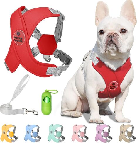 Patas Lague Dog Harness with Leash Set Adjustable Soft Padded Step-in Dog Vest No Choke No Pull Reflective for Small Medium Pets with Poop Bags and Dispenser, Solid and No-chew, Pink M in Saudi Arabia