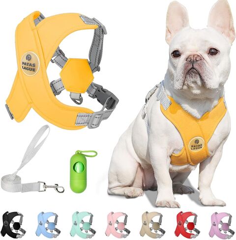 Patas Lague Dog Harness with Leash Set Adjustable Soft Padded Step-in Dog Vest No Choke No Pull Reflective for Small Medium Pets with Poop Bags and Dispenser, Solid and No-chew, Pink M in Saudi Arabia