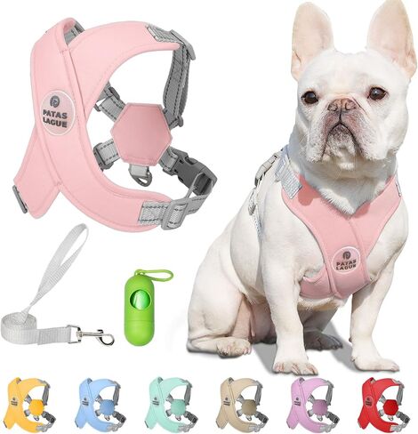 Patas Lague Dog Harness with Leash Set Adjustable Soft Padded Step-in Dog Vest No Choke No Pull Reflective for Small Medium Pets with Poop Bags and Dispenser, Solid and No-chew, Pink M in Saudi Arabia
