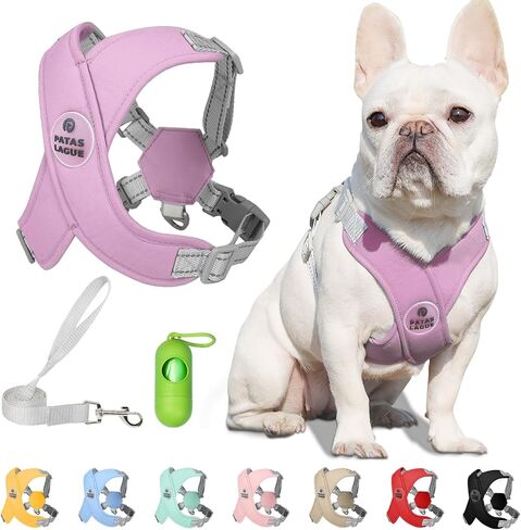 Patas Lague Dog Harness with Leash Set Adjustable Soft Padded Step-in Dog Vest No Choke No Pull Reflective for Small Medium Pets with Poop Bags and Dispenser, Solid and No-chew, Pink M in Saudi Arabia