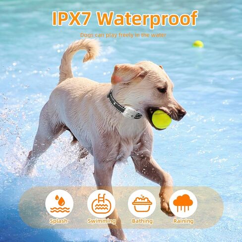 ETACCU Shock Collar for Dogs,Waterproof Dog Training Collar with Remote Control,4 Training Modes：Beep, Vibration, Safe Static,LED,Rechargeable Adjustable for 5-150lbs Small Medium Large Dogs in Kuwait