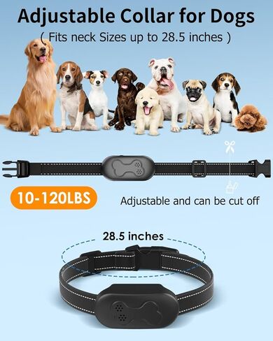 Dog Training Collar with Remote for Dogs, Waterproof IPX7 E Collar, Beep Vibration Modes, Safe Humane Training, 2000FT Range, Rechargeable Battery, for Small Medium Large Dogs 10–120 lbs (Black) in Kuwait