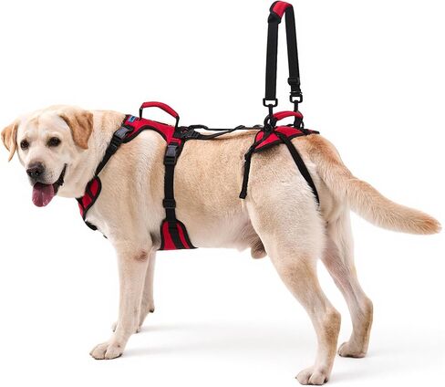 حزام رفع الكلاب للكلاب الكبيرة جدًا، حزام دعم رفع الكلاب الثقيل بمقابض مزدوجة، مساعد قوي على الحركة لعلاج التهاب المفاصل والإصابات، أحمر، مقاس XL in Kuwait