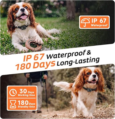 طوق نباح صغير للكلاب الصغيرة بوزن 5-15 رطل، فقط 1.4 × 1 بوصة و0.6 أونصة، طوق مضاد للصدمات مع اهتزاز وصفير، طوق نباح صغير جدًا وقابل لإعادة الشحن لتدريب الكلاب، 5 مستويات حساسية (أسود) in Kuwait